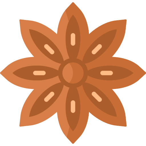 Anise nature anise india icon