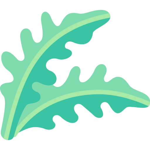 Arugula food and restaurant healthy food diet icon