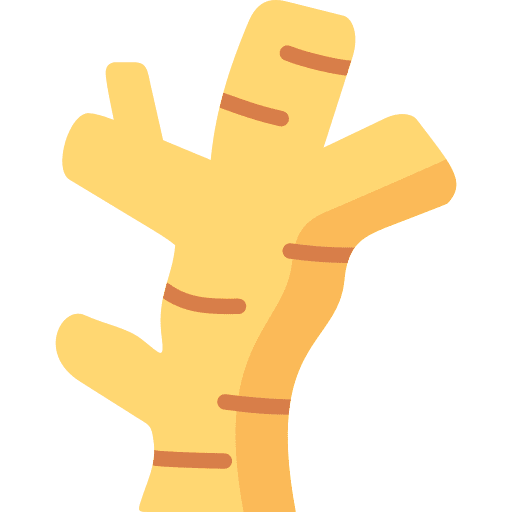 Ginger vegetable vegan turmeric icon