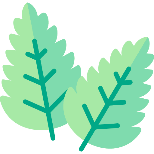 Mint mint leaf peppermint icon
