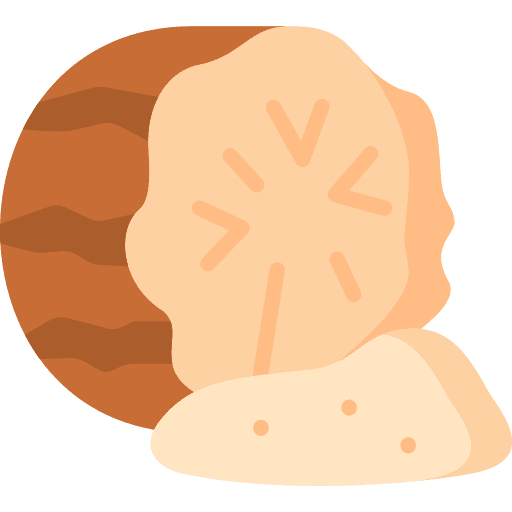 Nutmeg nature nutmeg spice icon