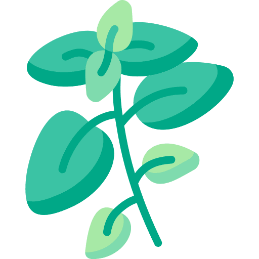 Oregano food spice food and restaurant icon