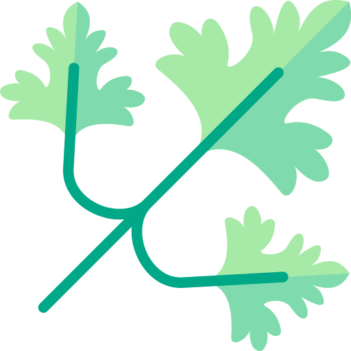 Parsley plant food and restaurant botanical icon