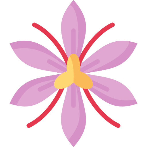 Saffron flower herb food and restaurant icon