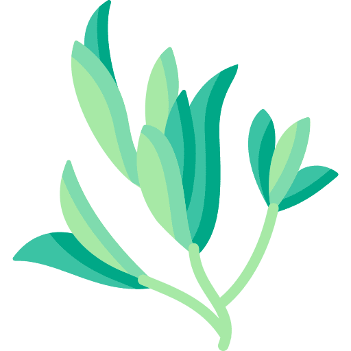 Savory plant food and restaurant spice icon