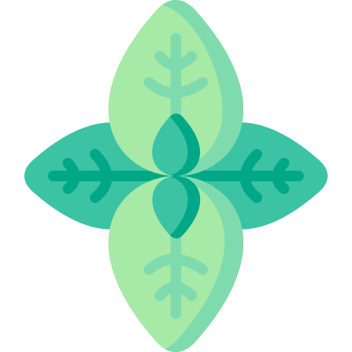 Basil organic plant vegan icon