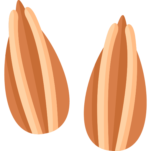 Cumin food organic nature icon