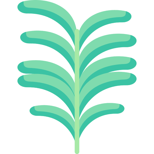 Rosemary aromatic scent food and restaurant icon