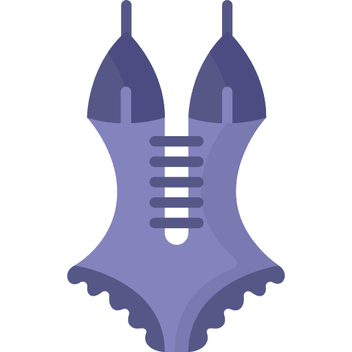 Lingerie sexy woman underwear icon