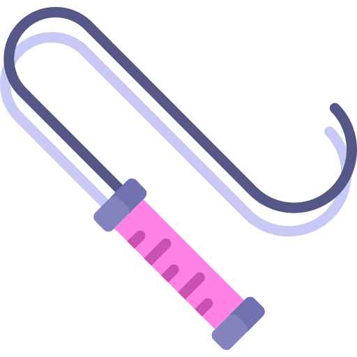 Whip whip toy sex icon