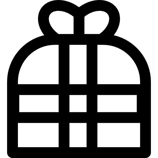 Gift surprise present christmas icon