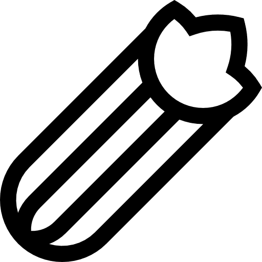 Celery vegetarian celery food icon