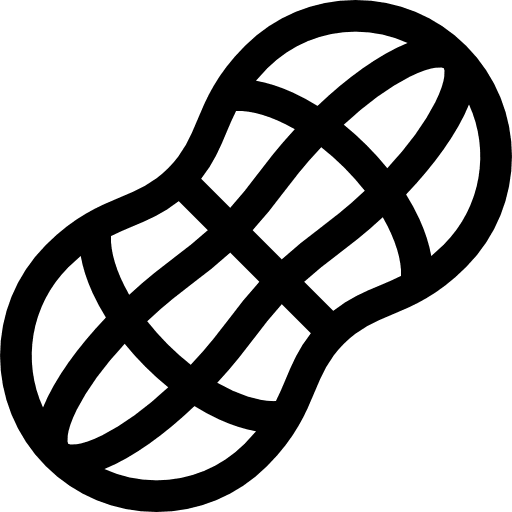 Peanuts food nut peanut icon