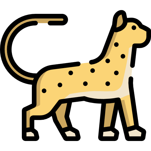 Cheetah cheetah animals animal kingdom icon