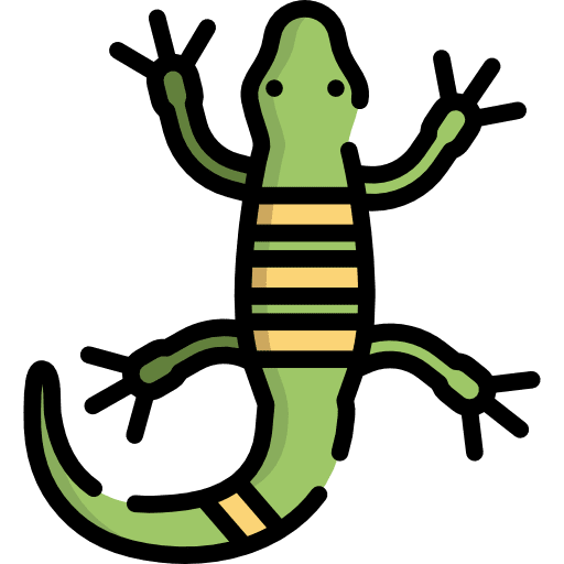 Lizard lizard animals reptile icon