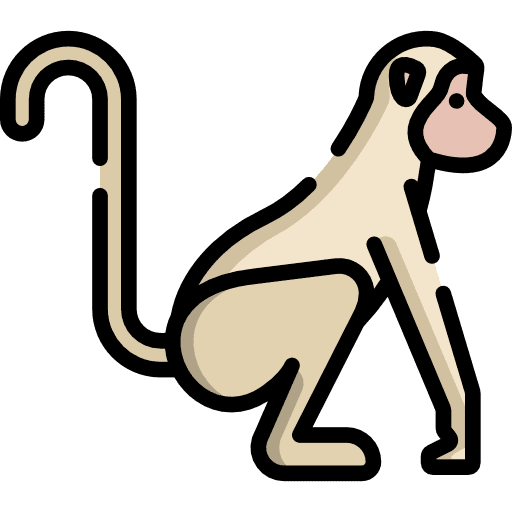 Monkey monkey gorilla wild life icon