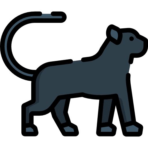 Panther zoo animal kingdom wild life icon