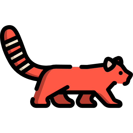 Red panda red panda animal kingdom animal icon