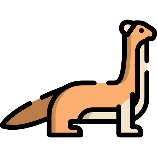 Weasel animal wild life animals icon