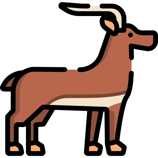 Antelope wildlife animal animal kingdom icon