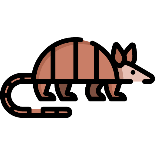 Armadillo zoo animal kingdom animals icon