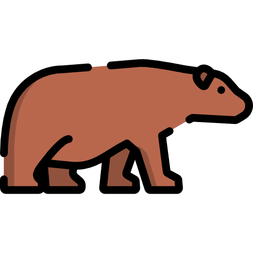 Bear animal animals bear icon
