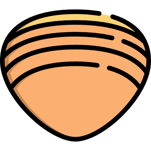 Clam animal kingdom animals aquarium icon