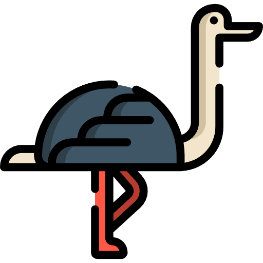 Ostrich wild life wildlife zoo icon