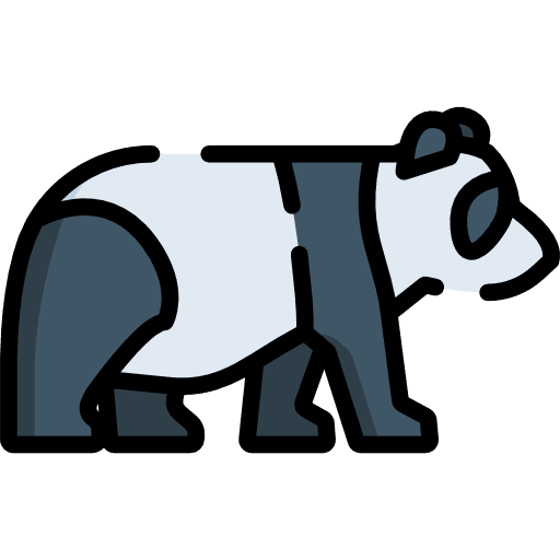Panda bear wildlife mammal animal kingdom icon