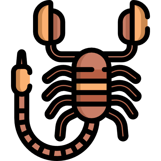 Scorpion animal arachnid animal kingdom icon