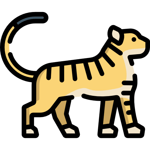 Tiger wildlife animal kingdom wild life icon