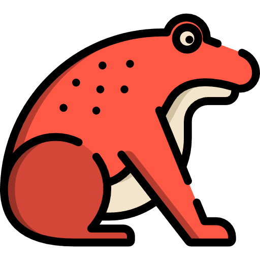 Toad biology animal amphibian icon