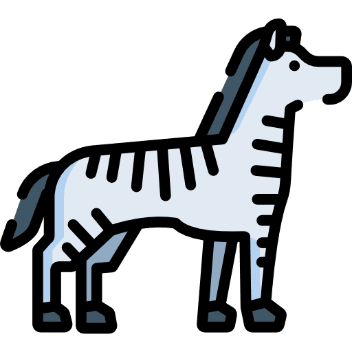 Zebra animal wild life mammal icon