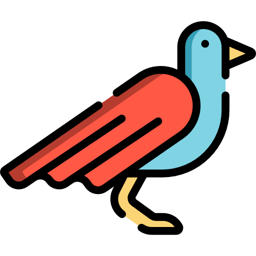 Bird bird zoo animal icon