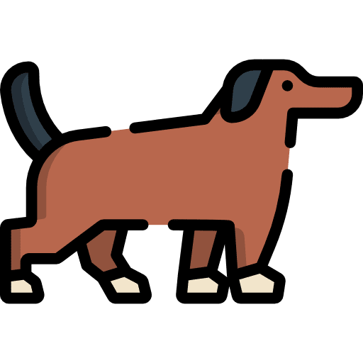 Dog animals animal domestic icon