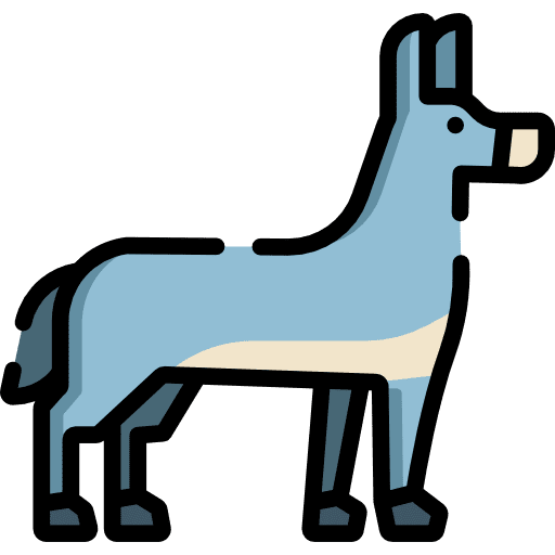 Donkey zoo animals animal icon