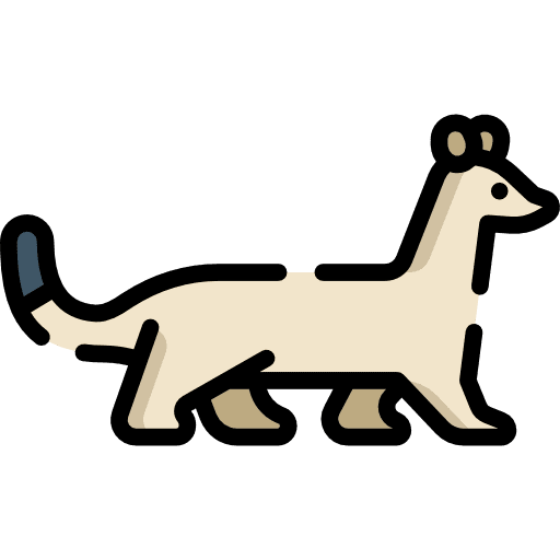 Ermine animal kingdom wild life animal icon