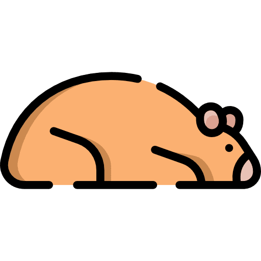 Hamster rodent animals wildlife icon