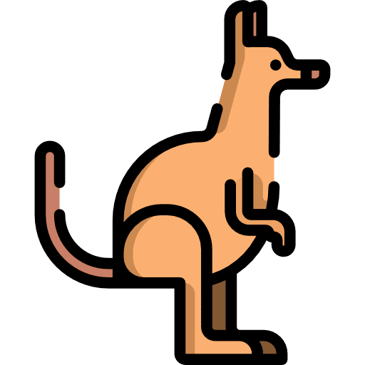 Kangaroo animals kangaroo animal icon