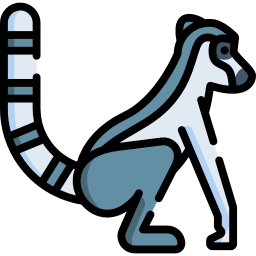 Lemur animal kingdom animals animal icon