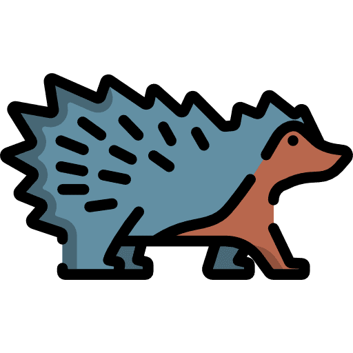 Porcupine zoo animal kingdom porcupine icon