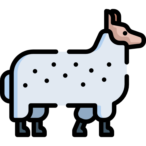 Sheep animal mammals animal kingdom icon