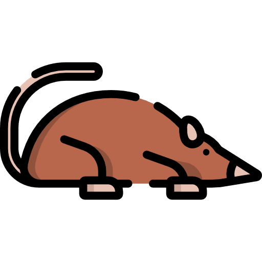 Shrew zoo animals shrew icon