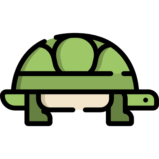 Turtle animal wild life turtle icon