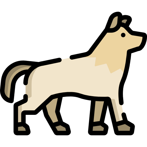 Wolf wolf zoo animal icon