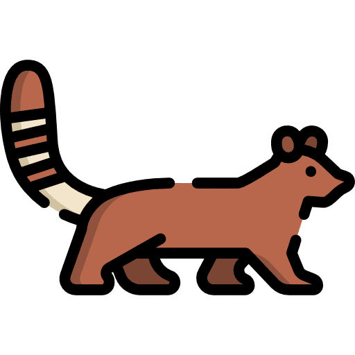 Animal kingdom animals zoo animal icon