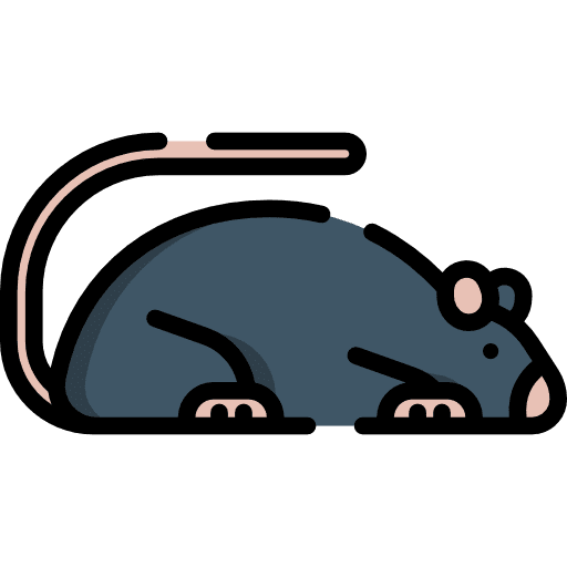 Animals pet animal kingdom rodent icon