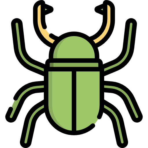 Beetle insect animal kingdom beetle icon