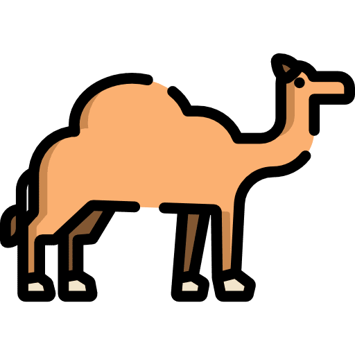 Camel animals animal wild life icon