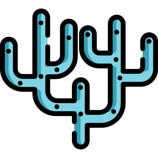 Coral aquatic coral animal icon
